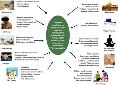 Frontiers | Management of polyneuropathy using yoga and